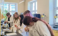 Krem pod lupą chemika